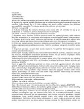 Audito planavimo vieta audito sistemoje 10 puslapis