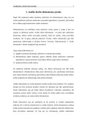 Auditoriaus darbo dokumentų funkcijos ir svarba 2 puslapis