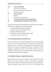 Auditoriaus darbo dokumentų funkcijos ir svarba 14 puslapis