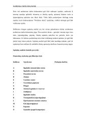 Auditoriaus darbo dokumentų funkcijos ir svarba 16 puslapis