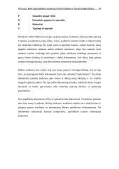 Auditoriaus darbo dokumentų funkcijos ir svarba 17 puslapis