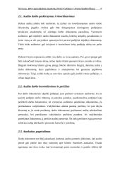 Auditoriaus darbo dokumentų funkcijos ir svarba 5 puslapis