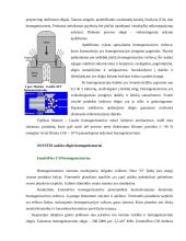 Aukšto slėgio homogenizatorių įvairovė 3 puslapis