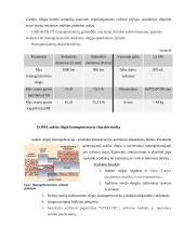 Aukšto slėgio homogenizatorių įvairovė 8 puslapis