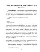 Autoremonto įmonės darbų organizavimas 13 puslapis