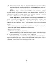 Autoremonto įmonės darbų organizavimas 14 puslapis