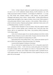 Avižų auginimas