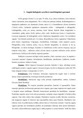 Avižų auginimas 2 puslapis