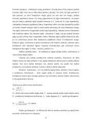 Avižų auginimas 15 puslapis