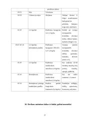 Avižų auginimas 19 puslapis