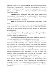 Avižų auginimas 3 puslapis