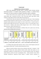 Bankai Lietuvoje: veiklos perspektyvos 12 puslapis