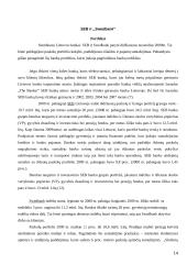 Bankai Lietuvoje: veiklos perspektyvos 14 puslapis