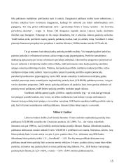 Bankai Lietuvoje: veiklos perspektyvos 15 puslapis