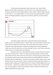 Bankai Lietuvoje: veiklos perspektyvos 16 puslapis