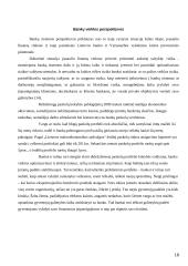 Bankai Lietuvoje: veiklos perspektyvos 18 puslapis
