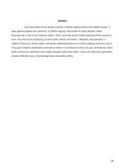 Bankai Lietuvoje: veiklos perspektyvos 19 puslapis