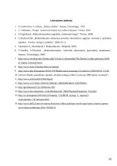 Bankai Lietuvoje: veiklos perspektyvos 20 puslapis