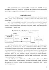 Bankai Lietuvoje: veiklos perspektyvos 6 puslapis