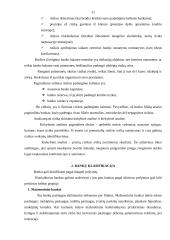 Bankų kūrimasis ir plėtra Lietuvoje 11 puslapis