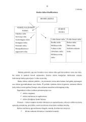 Bankų kūrimasis ir plėtra Lietuvoje 10 puslapis