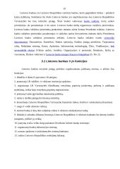 Bankų vaidmuo ekonomikoje 19 puslapis