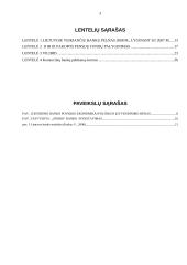 Bankų vaidmuo ekonomikoje 3 puslapis