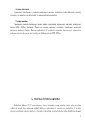 Bedarbystės problema Lietuvoje 4 puslapis