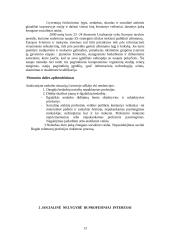 Bedarbių profesijos rinkimosi ypatumai, įtakojantys socialinę atskirtį 13 puslapis