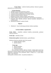 Bedarbių profesijos rinkimosi ypatumai, įtakojantys socialinę atskirtį 4 puslapis