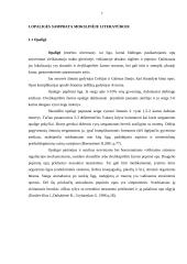 Bendruomenės slaugytojo prevencinė veikla, siekiant išvengti skrandžio ir dvylikapirštės žarnos opaligės paūmėjimo 7 puslapis
