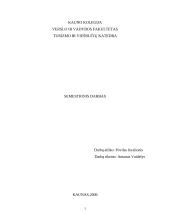 Čekijos Respublika, jos charakteristika