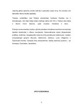 Čekijos Respublika, jos charakteristika 11 puslapis