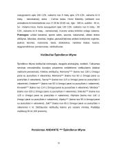 Čekijos Respublika, jos charakteristika 19 puslapis