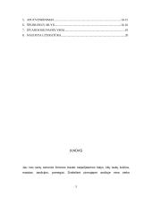 Čekijos Respublika, jos charakteristika 3 puslapis