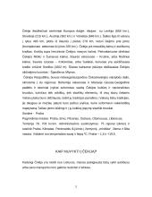 Čekijos Respublika, jos charakteristika 5 puslapis