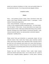 Čekijos Respublika, jos charakteristika 10 puslapis