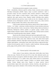 Dailės ir etnokultūros integracijos reikšmė meniniam ugdymui pradžios mokykloje 11 puslapis