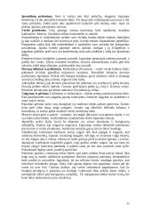 Dalykinio bendravimo su Japonijos atstovais ypatumai 11 puslapis