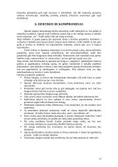 Dalykinio bendravimo su Japonijos atstovais ypatumai 13 puslapis