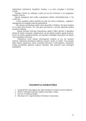 Dalykinio bendravimo su Japonijos atstovais ypatumai 15 puslapis