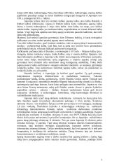Dalykinio bendravimo su Japonijos atstovais ypatumai 5 puslapis