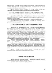 Dalykinio bendravimo su Japonijos atstovais ypatumai 8 puslapis