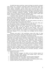 Dalykinio bendravimo su Japonijos atstovais ypatumai 9 puslapis