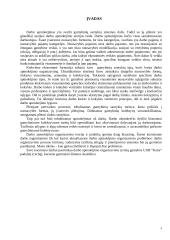 Darbo apmokėjimo organizavimas: UAB "Katra" 4 puslapis