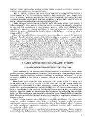 Darbo apmokėjimo organizavimas: UAB "Katra" 8 puslapis