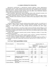 Darbo apmokėjimo organizavimas: UAB "Katra" 10 puslapis