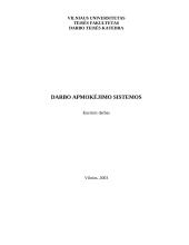 Darbo apmokėjimo sistemos 1 puslapis