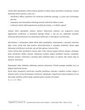 Darbo apmokėjimo sistemos 13 puslapis