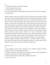 Darbo apmokėjimo sistemos 14 puslapis